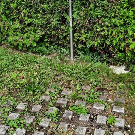 In Am Attersee * Weyregg