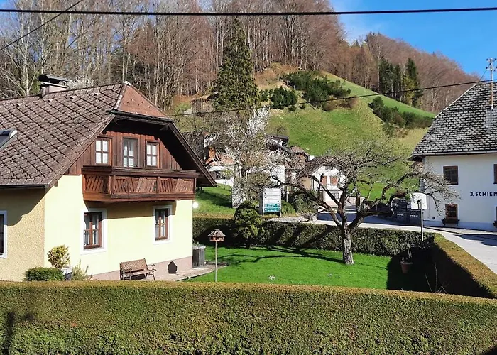 In Am Attersee Appartement Weyregg