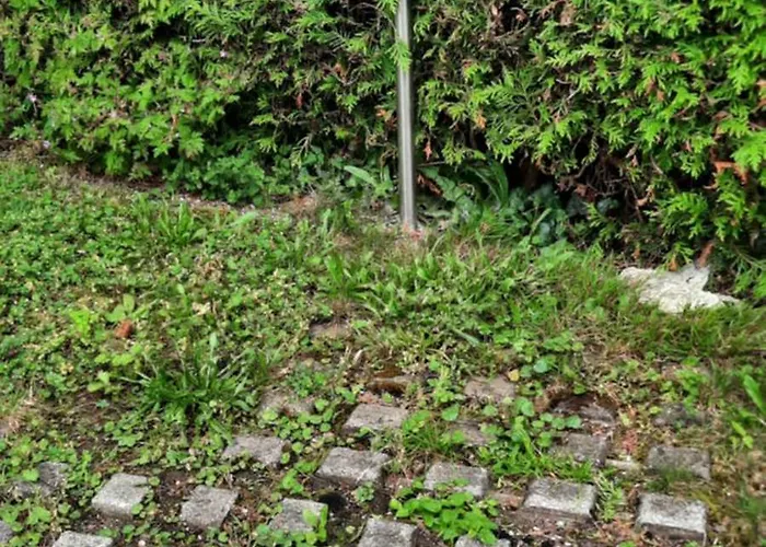 In Am Attersee * Weyregg am Attersee